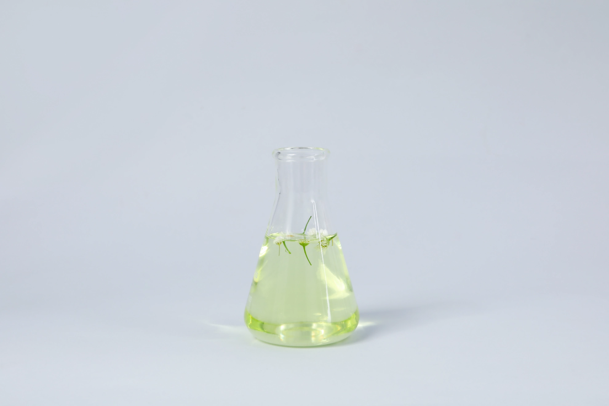 Innovación Verde